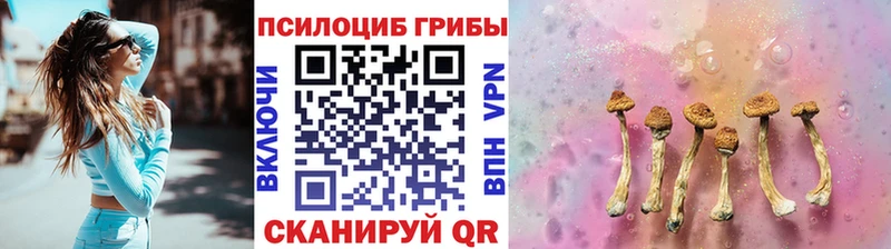 дарк нет состав  Биробиджан  Галлюциногенные грибы MAGIC MUSHROOMS 